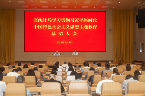 省统计局召开学习贯彻习近平新时代中国特色 社会主义思想主题教育总结大会